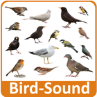 ikon Bird Sounds