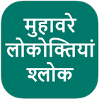Hindi Muhavare (Idioms) ícone