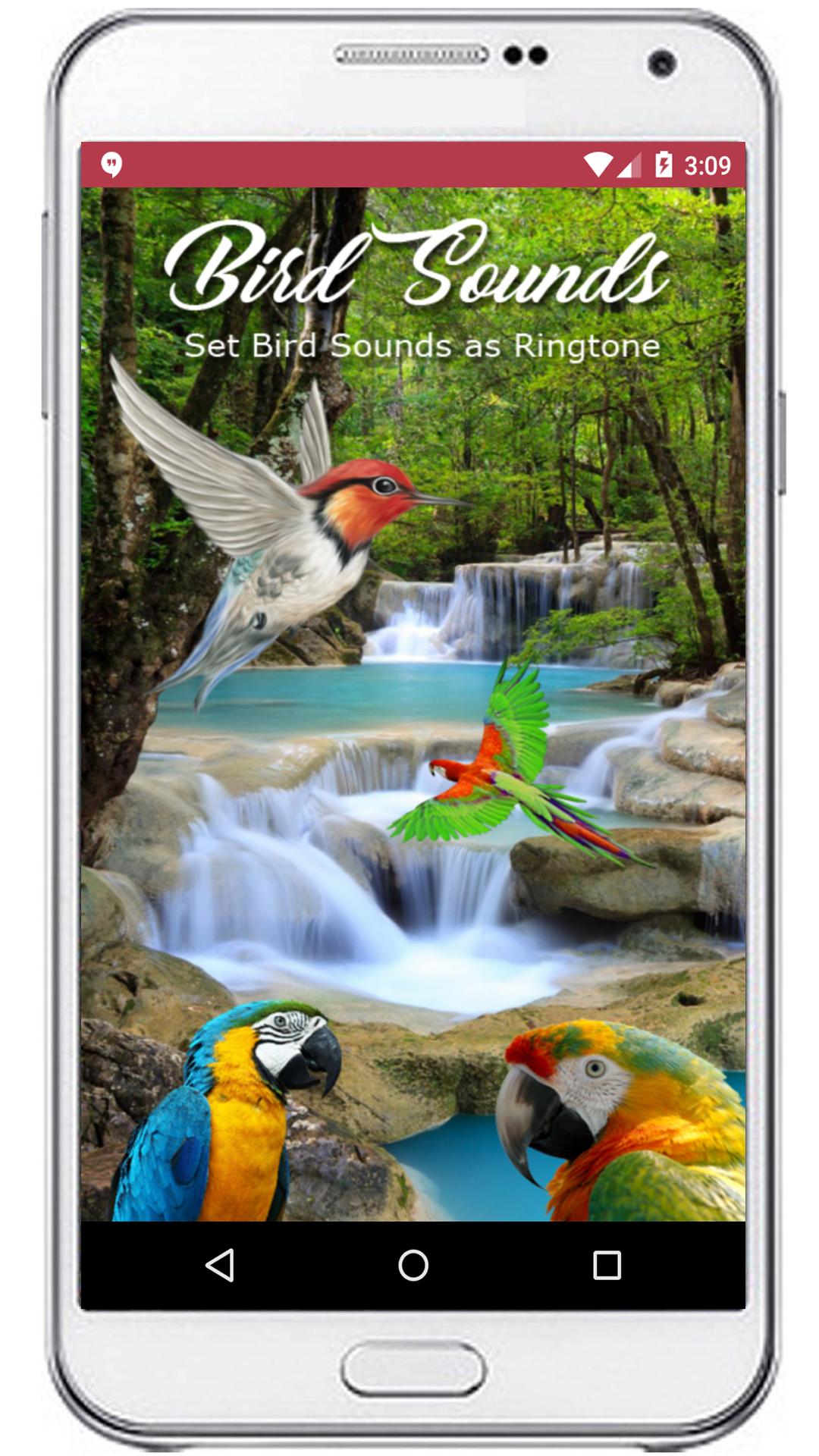 Птичка приложение акции. Android про птиц. Блокнот андроид с птичкой. Рингтон птичка. Звуки птиц.