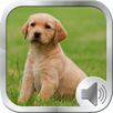 Dog Sounds Ringtones APK