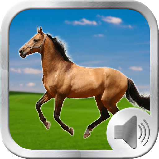 Suoni di suoni di cavallo