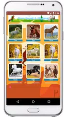 Pferd klingt Klingeltöne XAPK Herunterladen