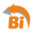 BI Pay APK