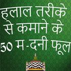 Islamic Halal Tariqay Say Kamanay Kay 50 Madani... icon