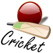 ”Easy Cricket
