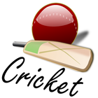 Easy Cricket icon