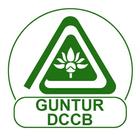 Guntur DCCB icône