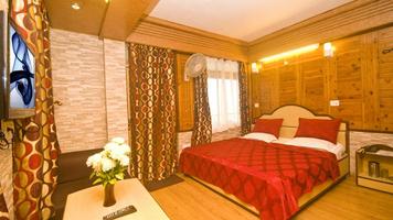 Hotel Maharaja Nainital скриншот 3