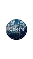 Celeste By Amisha Parakh poster