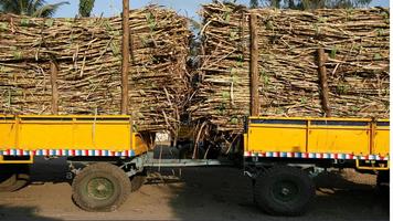 Sugar ERP capture d'écran 1