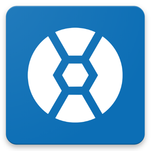 Koinex - India's largest digit