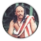 Shripant Maharaj Balekundri icône