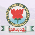 Icona Little Flower Highschool, T.Sunduppali