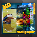 Backgrounds HD (Wallpapers) APK