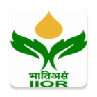 ICAR IIOR Sunflower icon