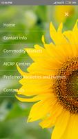 ICAR IIOR Sunflower poster