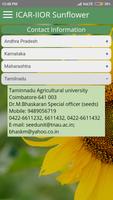 ICAR IIOR Sunflower screenshot 2