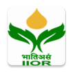 Icona ICAR IIOR Seed Production Castor