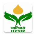 ICAR IIOR Seed Production Castor