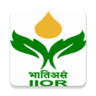 ICAR IIOR Seed Production Sunflower icono