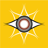 Lasik Safety Calculator