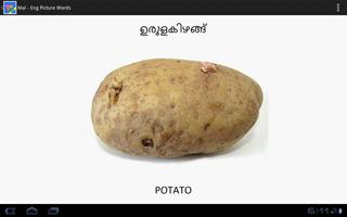 Malayalam-English PictureWords syot layar 2