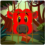 Jungle Trap - Match Three Game