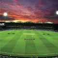 Cricket News