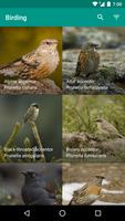 Complete Birding Affiche