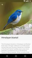 1 Schermata Complete Birding