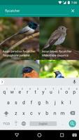 Complete Birding 截图 2