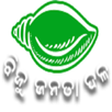 BJD APK