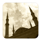 Daily Hadith icono