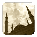 Daily Hadith APK