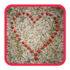 Love Tips & Romantic Ideas-icoon