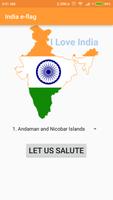 India E-flag Cartaz