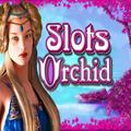 Slots - Orchid