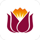 Zijing Travel APK