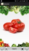 برنامه‌نما Vegetables عکس از صفحه