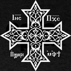 Interlinear Coptic New Testame icône