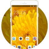 Theme for Intex Aqua Power plus HD icon