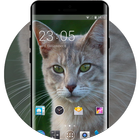 Theme for Intex Cloud 4G Smart Cat Wallpaper ไอคอน