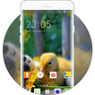 Theme for Intex Cloud Q11 4G