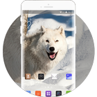 Theme for Intex Aqua V 3G Animal Wallpaper icon