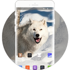 Theme for Intex Aqua V 3G Animal Wallpaper icono