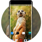 Theme for Intex Aqua V4 Animal Wallpaper アイコン