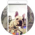 Theme for Intex Aqua Y3 bulldog Wallpaper ikona