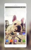 Theme for Intex Aqua Y3 bulldog Wallpaper الملصق