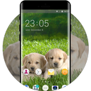 Theme for Intex Aqua Desire HD Puppy Wallpaper APK