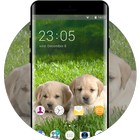 Theme for Intex Aqua Desire HD Puppy Wallpaper 아이콘